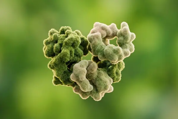 Mining Parasite Evolution for Autoimmune Disease Therapies