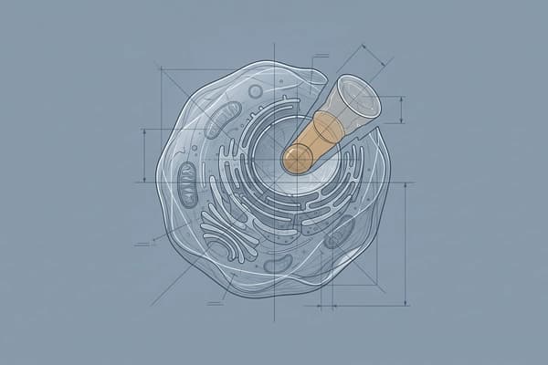 ai3Bio raises $48M to reset immune systems for remission